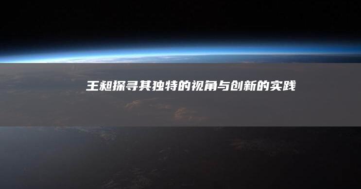 王昶：探寻其独特的视角与创新的实践