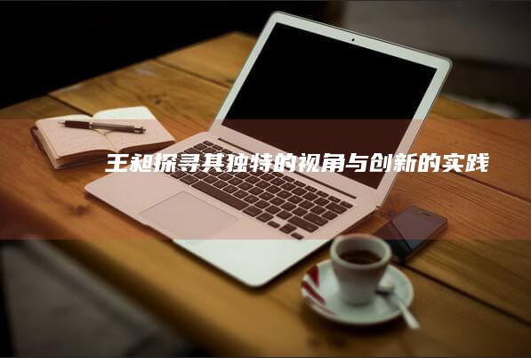 王昶：探寻其独特的视角与创新的实践